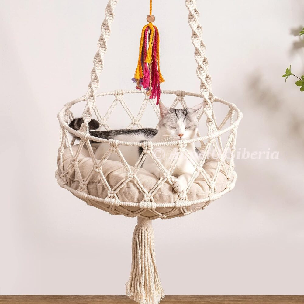 cat hanging basket