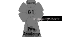 g1academy-200x120-1.png