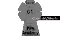 g1academy-200×120-1.png g1academy-200x120-1.png