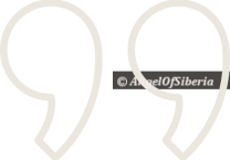 quote-light.png quote-light.png