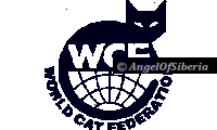 wcfblack-200×120-1.png wcfblack-200x120-1.png